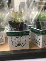 Customised Bomboniere Ribbon 10mm x 25 Metres Roll - Image 2