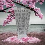 Customised Pageant Award Sashes - Image 2