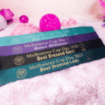 Personalise Your Own Sash - Image 3