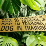 Personalise Your Own Sash - Image 4