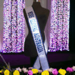 Vinyl Bordered Sashes - Image 3